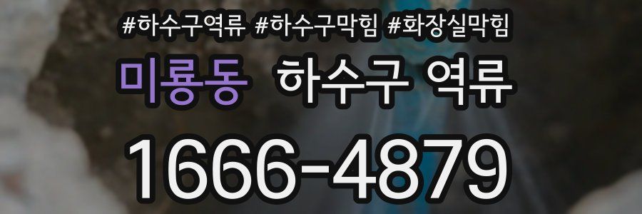 미룡동 하수구 역류