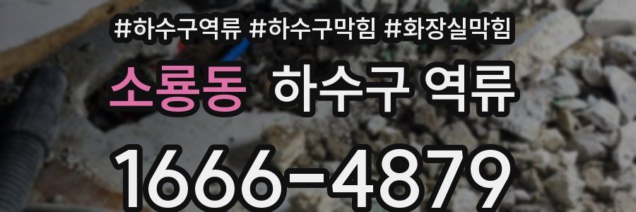 소룡동 하수구 역류