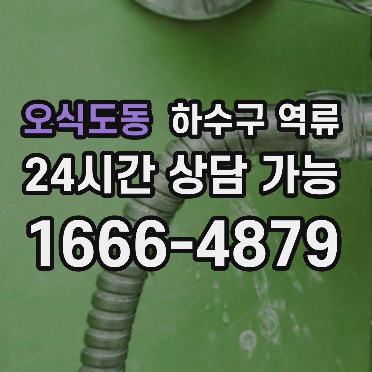 오식도동 하수구 역류