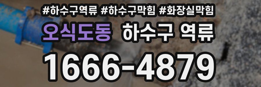 오식도동 하수구 역류