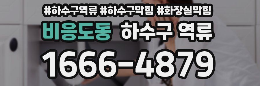 비응도동 하수구 역류