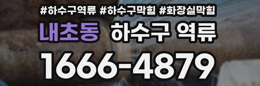 내초동 하수구 역류