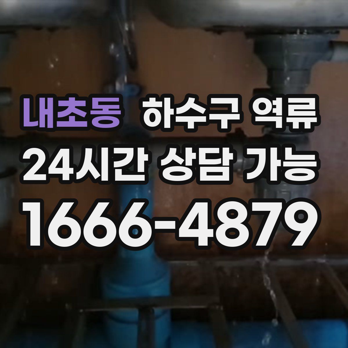 내초동 하수구 역류