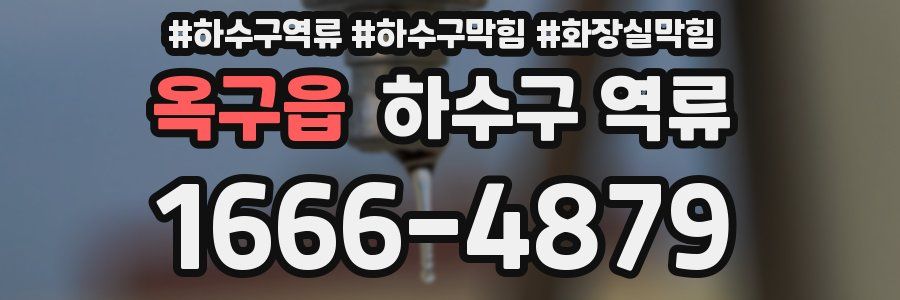 옥구읍 하수구 역류