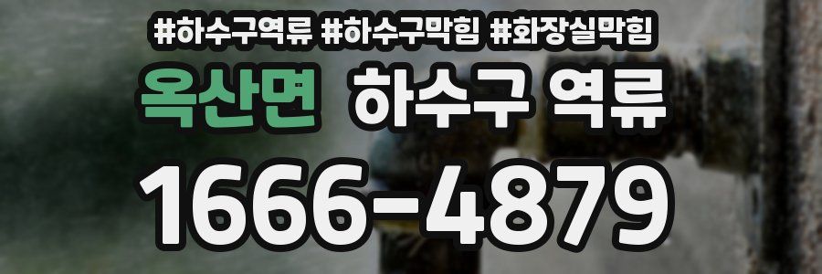 옥산면 하수구 역류