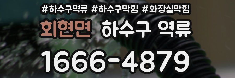 회현면 하수구 역류