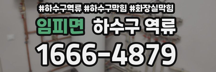 임피면 하수구 역류