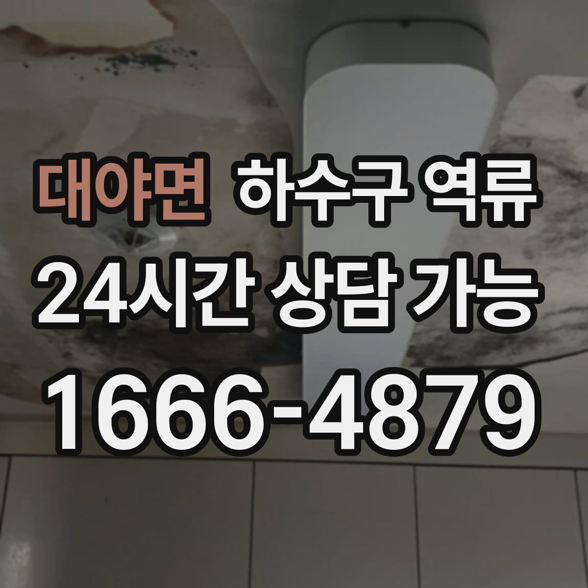 대야면 하수구 역류