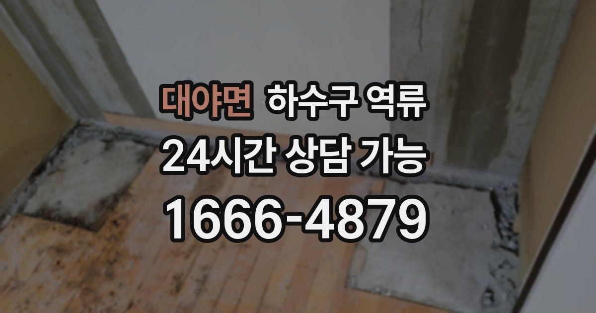 대야면 하수구 역류