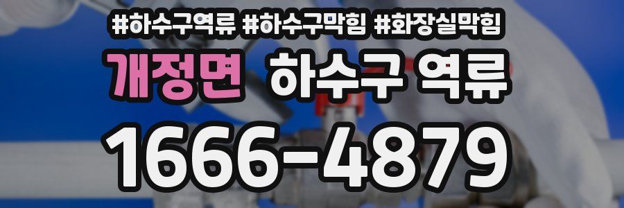 개정면 하수구 역류