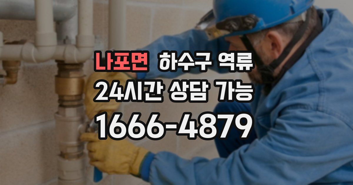 나포면 하수구 역류