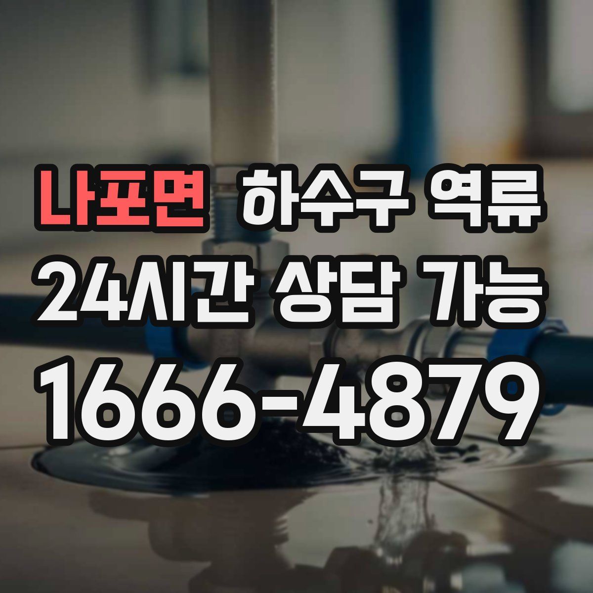 나포면 하수구 역류