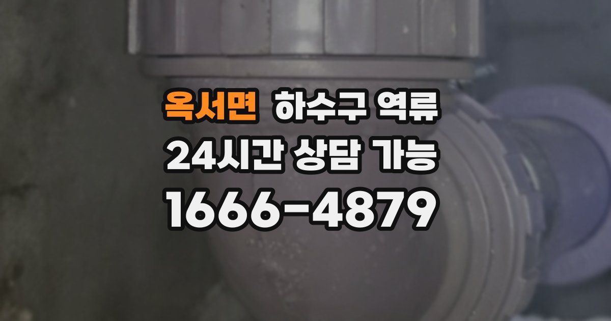 옥서면 하수구 역류