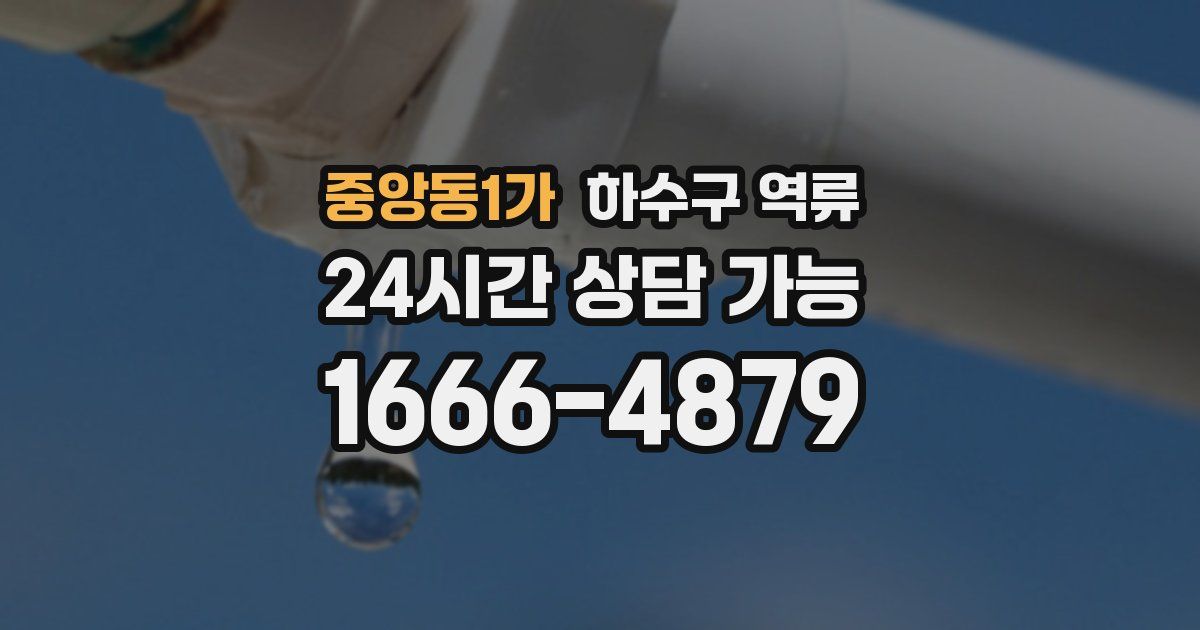 중앙동1가 하수구 역류