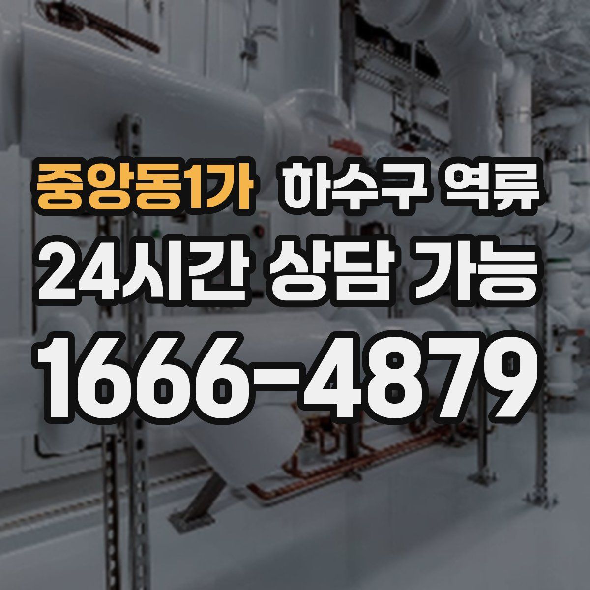 중앙동1가 하수구 역류