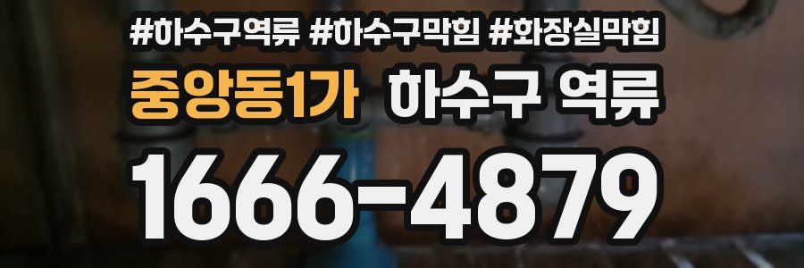 중앙동1가 하수구 역류