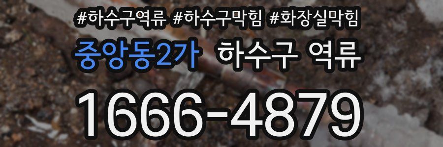 중앙동2가 하수구 역류