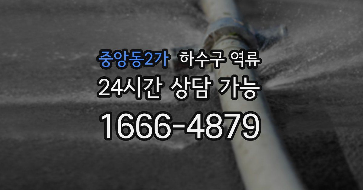 중앙동2가 하수구 역류