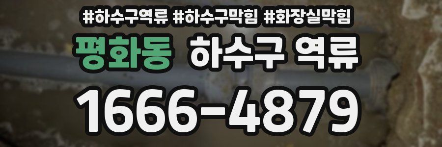 평화동 하수구 역류