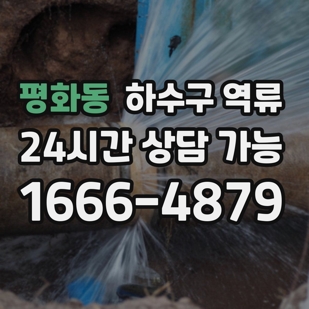 평화동 하수구 역류