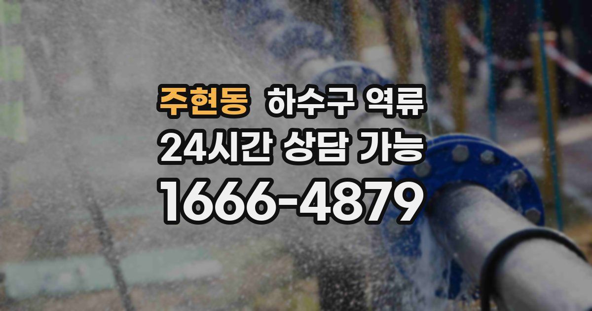 주현동 하수구 역류