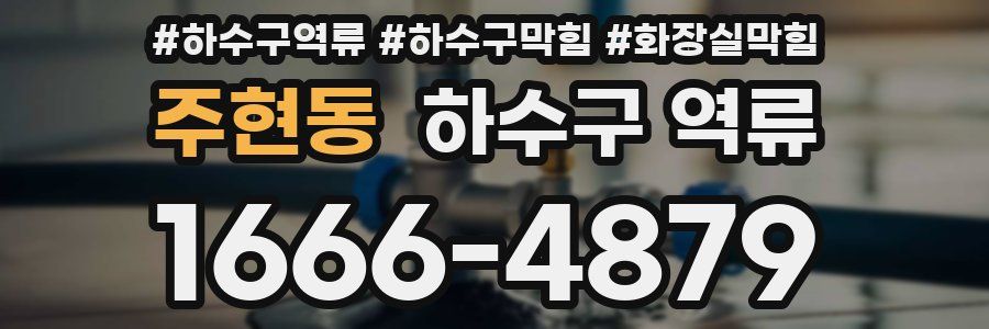 주현동 하수구 역류