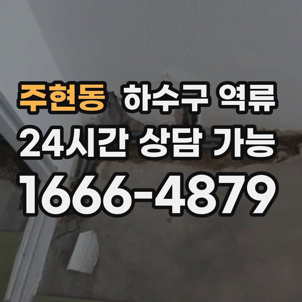 주현동 하수구 역류