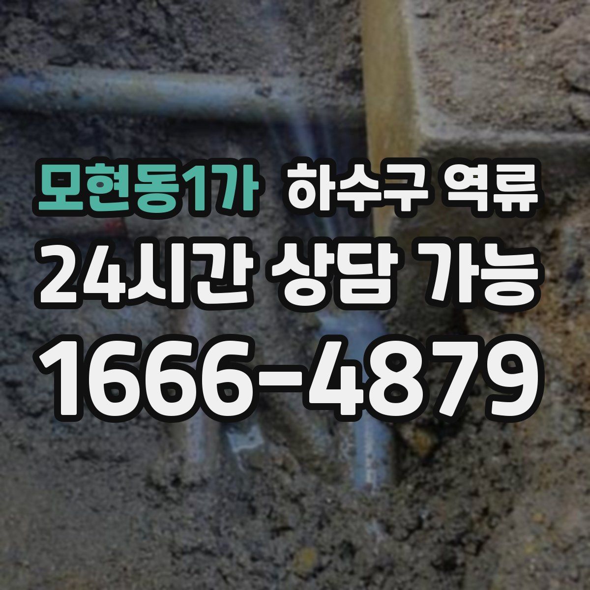 모현동1가 하수구 역류