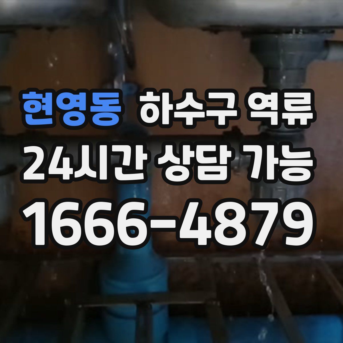 현영동 하수구 역류