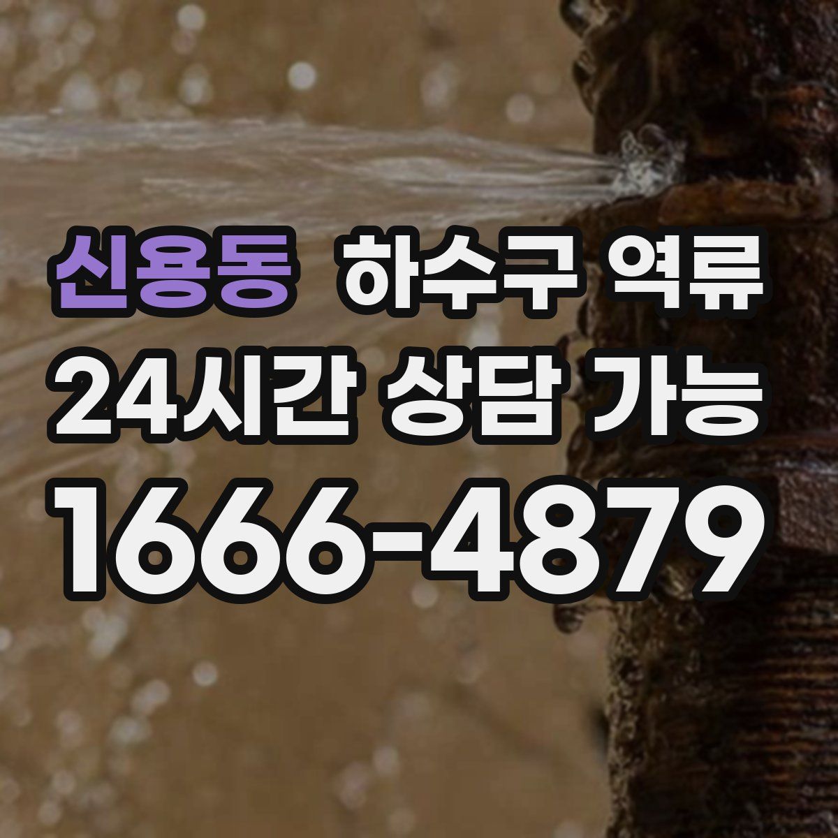 신용동 하수구 역류