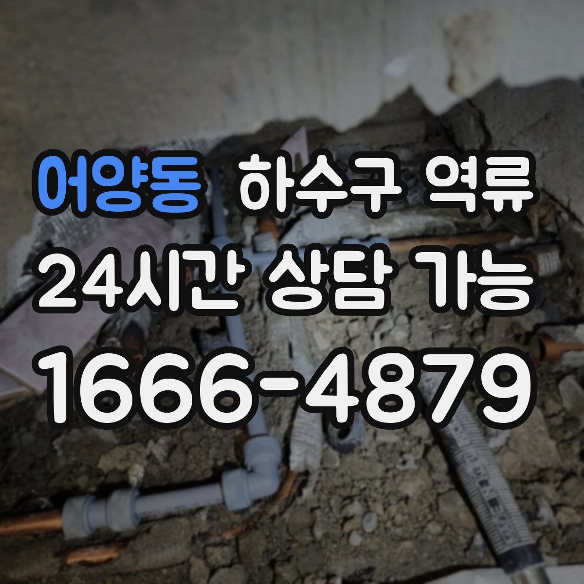 어양동 하수구 역류