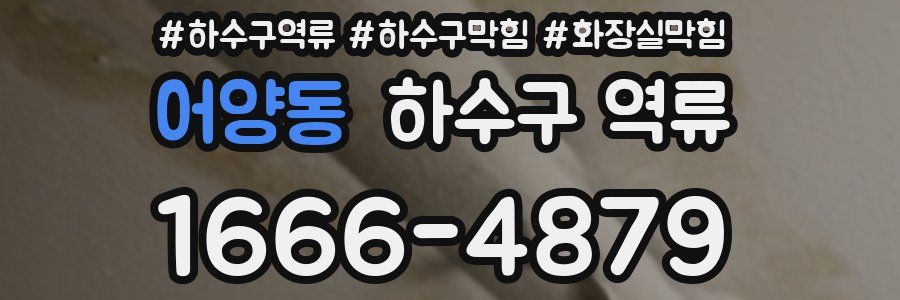 어양동 하수구 역류