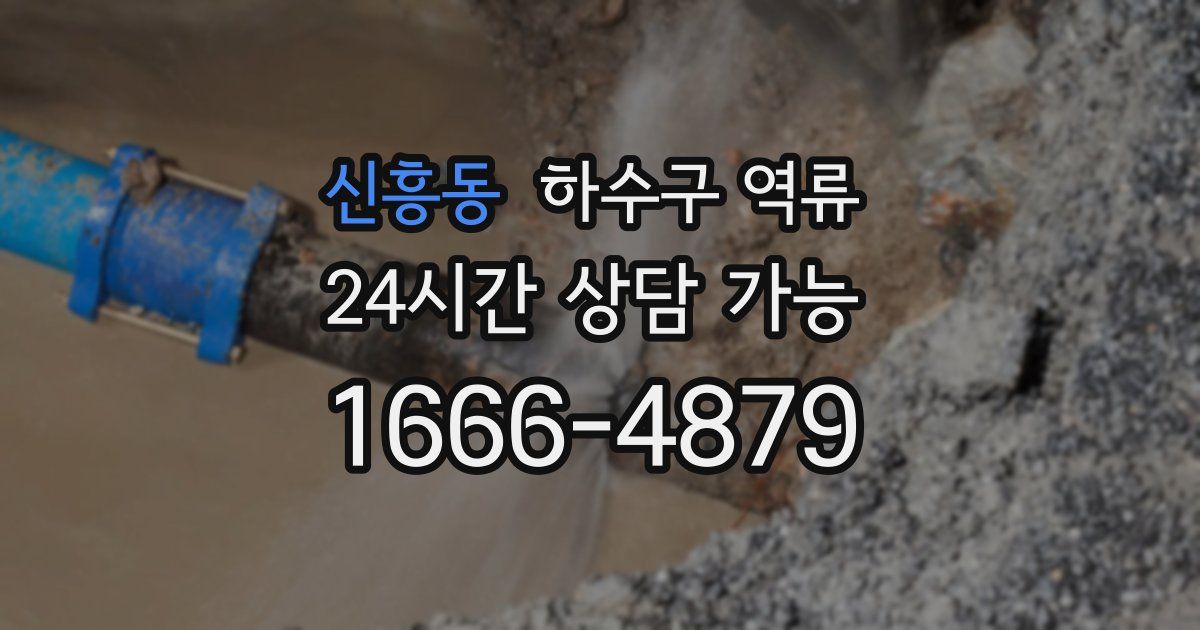 신흥동 하수구 역류