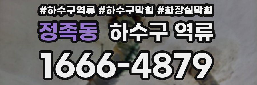 정족동 하수구 역류