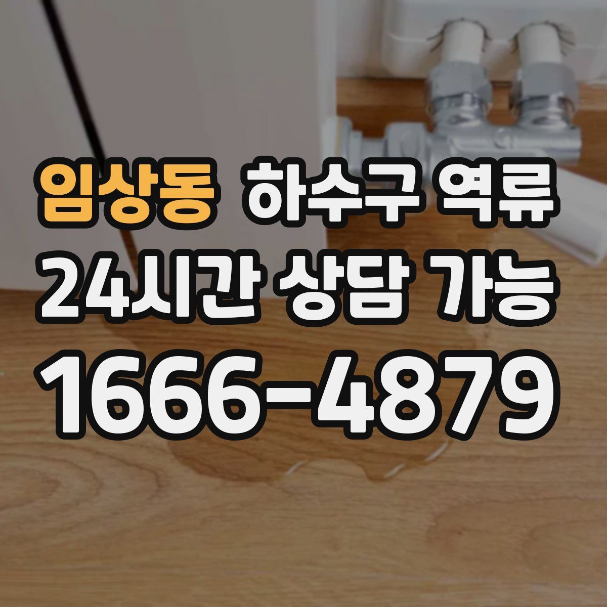 임상동 하수구 역류