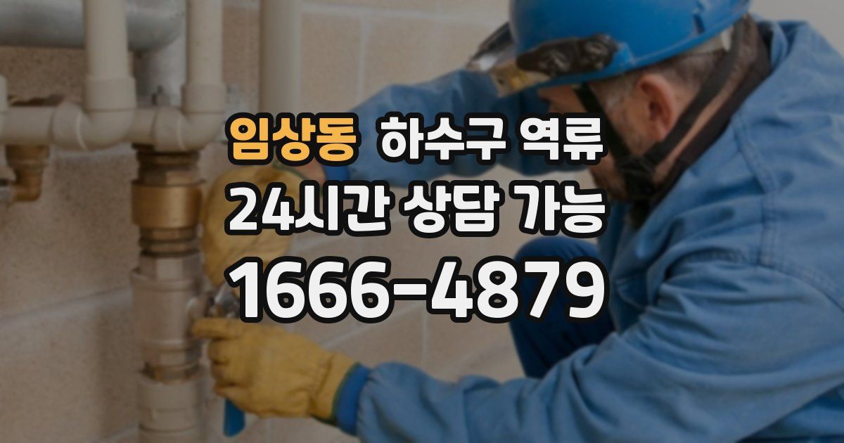 임상동 하수구 역류