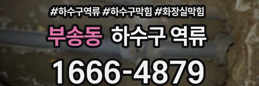 부송동 하수구 역류