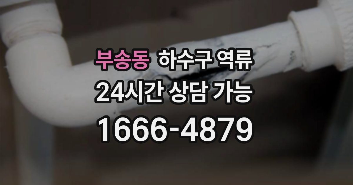 부송동 하수구 역류