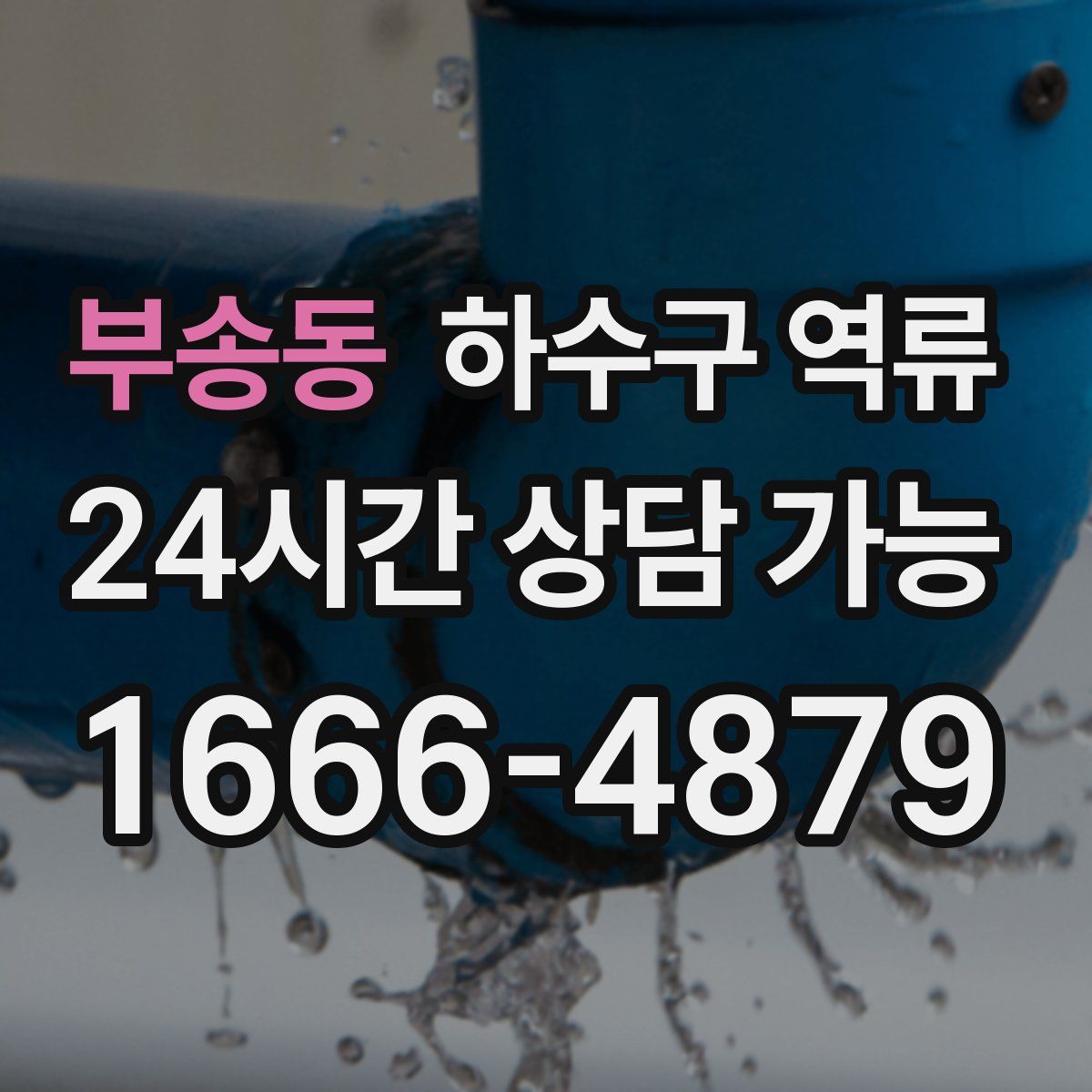 부송동 하수구 역류