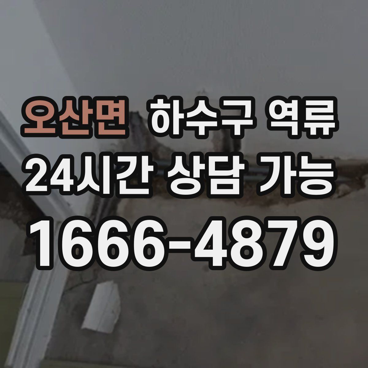 오산면 하수구 역류