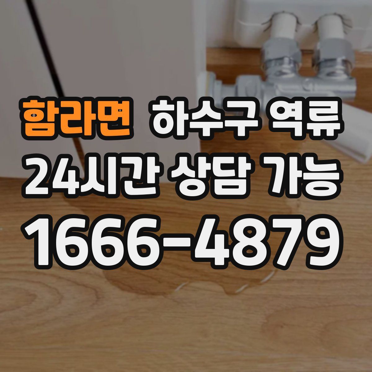 함라면 하수구 역류