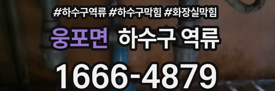 웅포면 하수구 역류