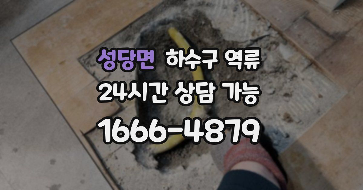성당면 하수구 역류