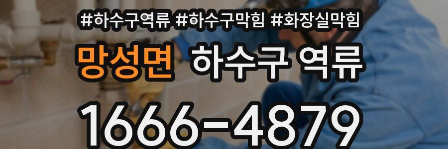 망성면 하수구 역류