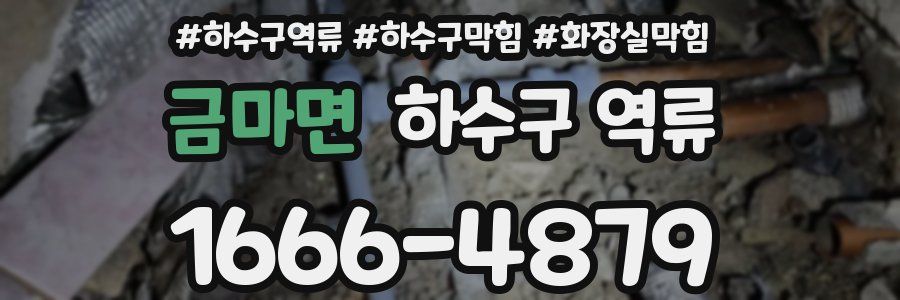 금마면 하수구 역류