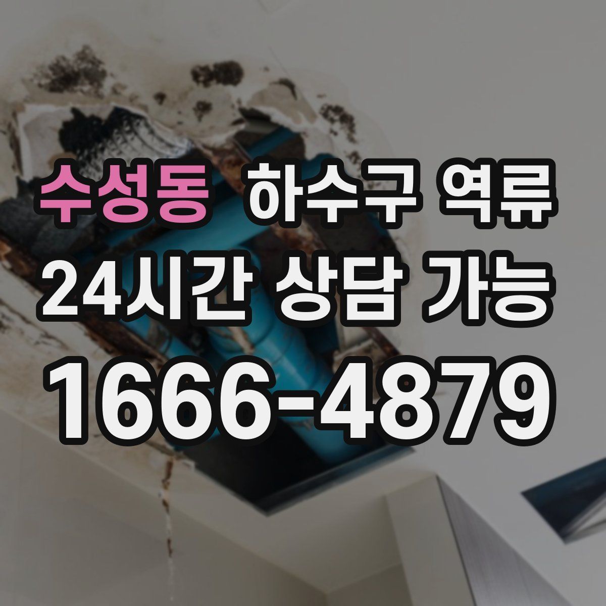 수성동 하수구 역류