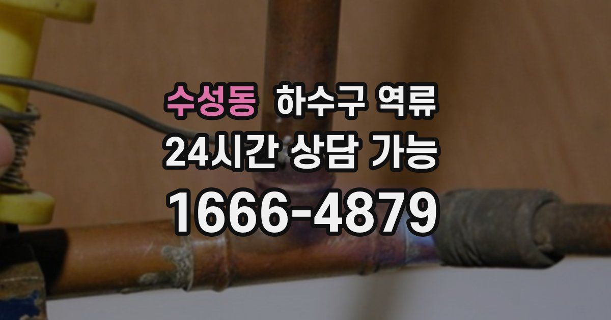 수성동 하수구 역류