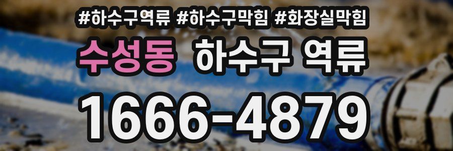 수성동 하수구 역류