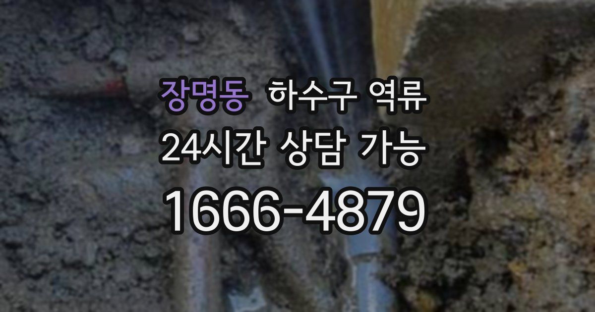 장명동 하수구 역류