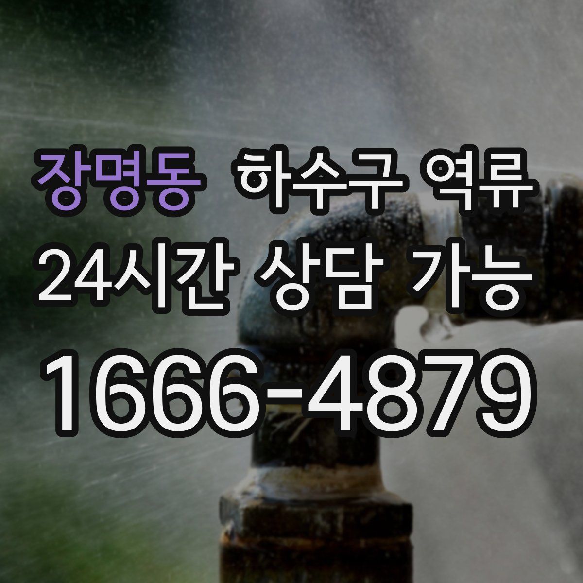 장명동 하수구 역류